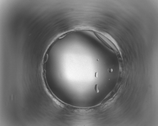 X0000074961005200609152052