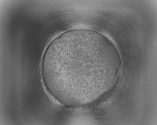 X0000074961008200609152051