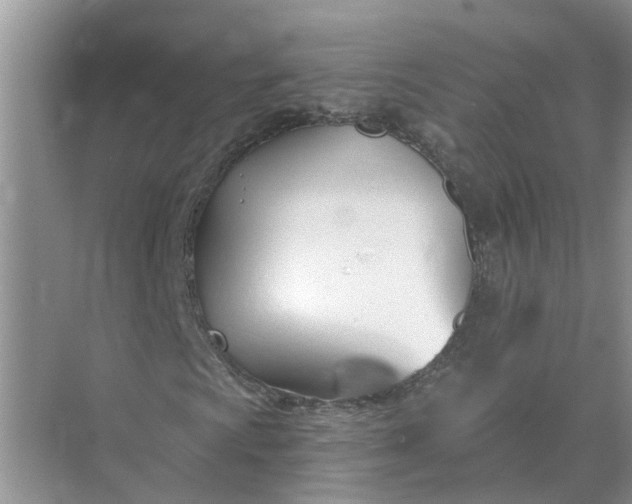 X0000074961009200609152051