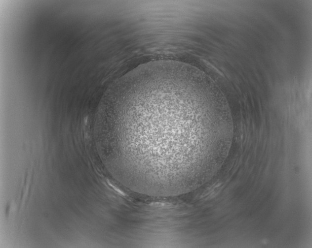 X0000074961010200609152051