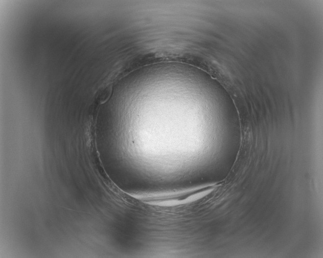 X0000074961012200609152051