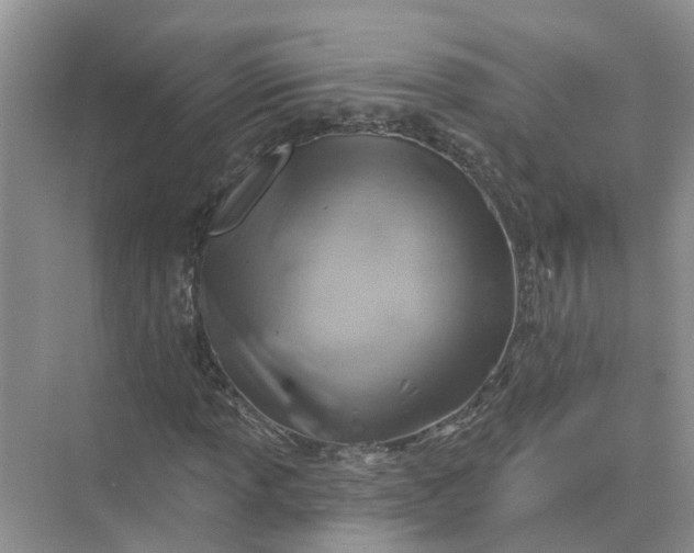 X0000074961013200609152051