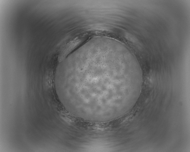 X0000074961014200609152051