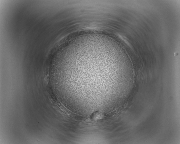 X0000074961015200609152051