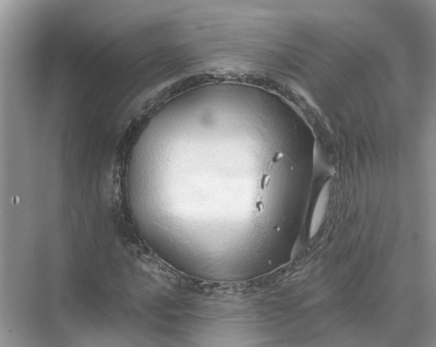 X0000074961016200609152051