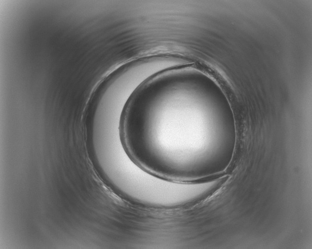 X0000074961018200609152051