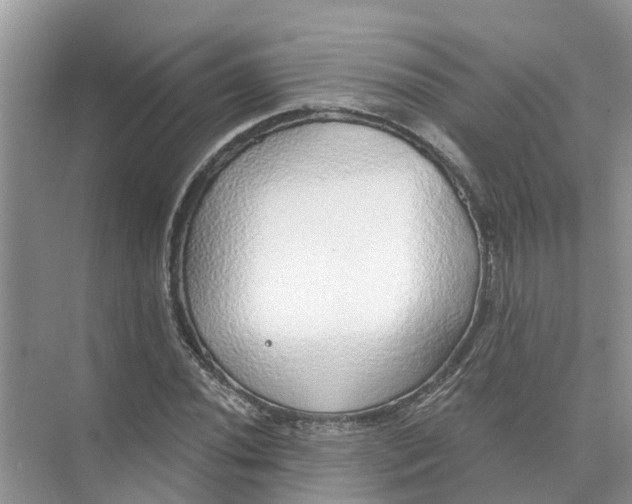 X0000074961020200609152051