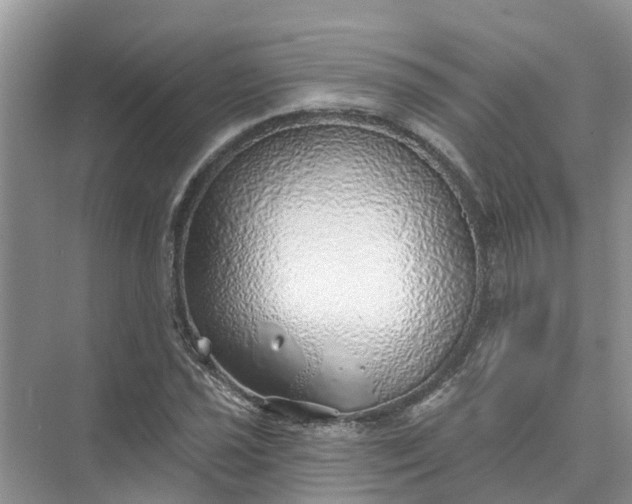 X0000074961021200609152051