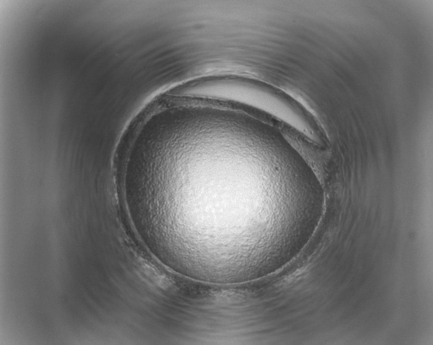 X0000074961022200609152051