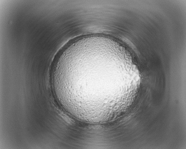 X0000074961023200609152051