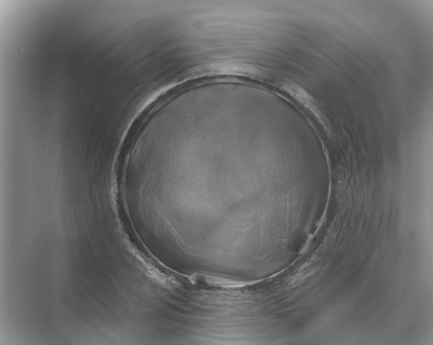 X0000074961024200609152051