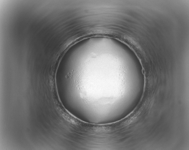 X0000074961025200609152051