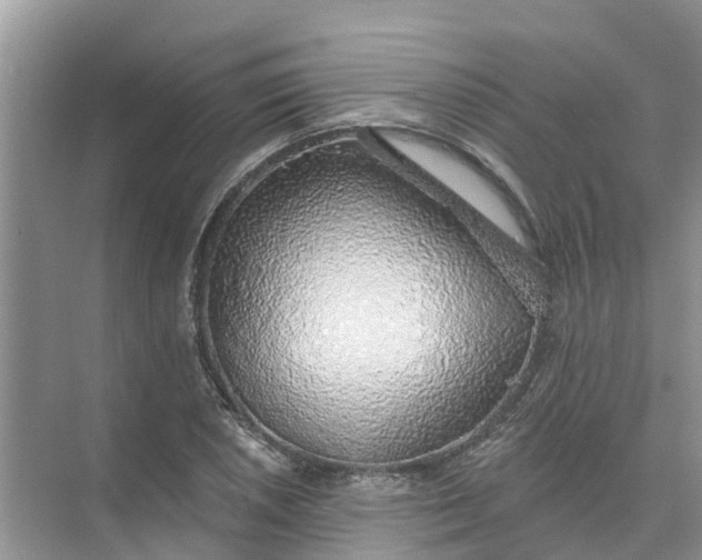 X0000074961026200609152051