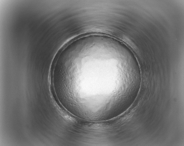 X0000074961028200609152051