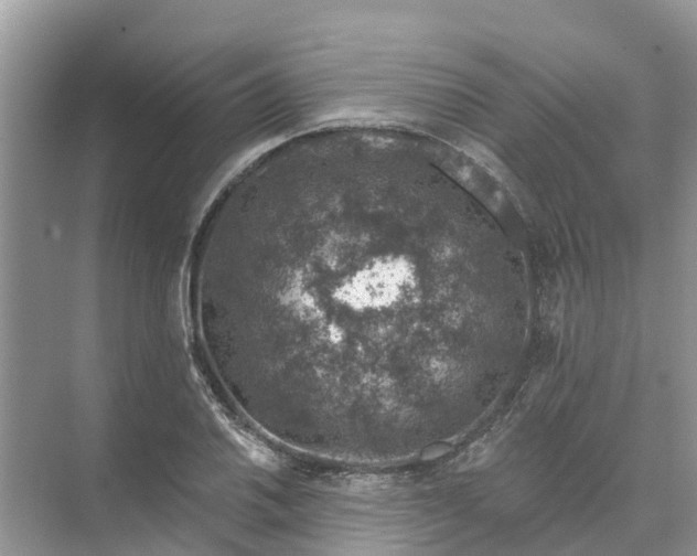 X0000074961030200609152051