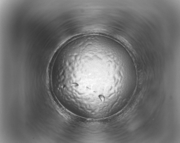 X0000074961031200609152051