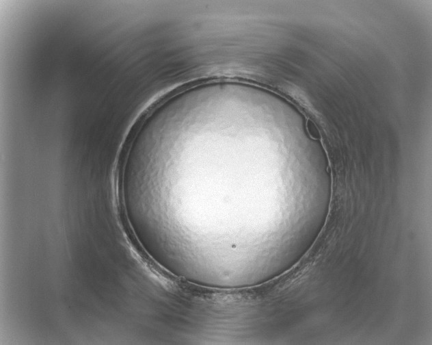 X0000074961032200609152051