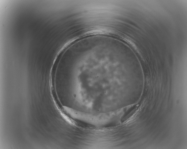 X0000074961034200609152051