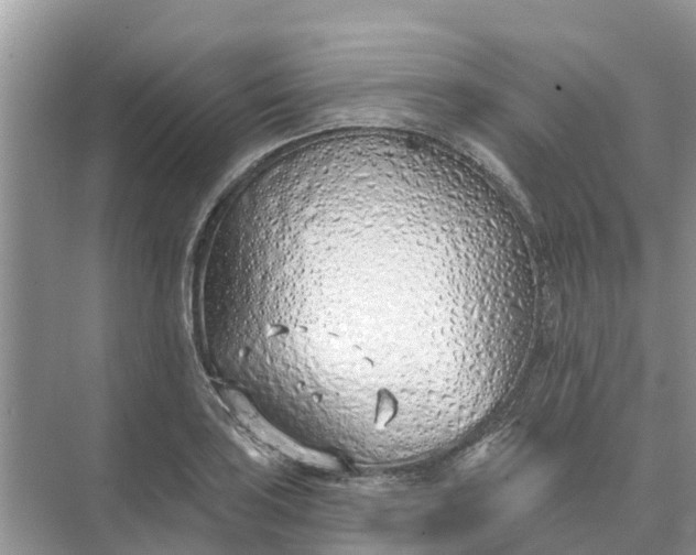 X0000074961035200609152051