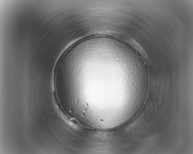 X0000074961036200609152051