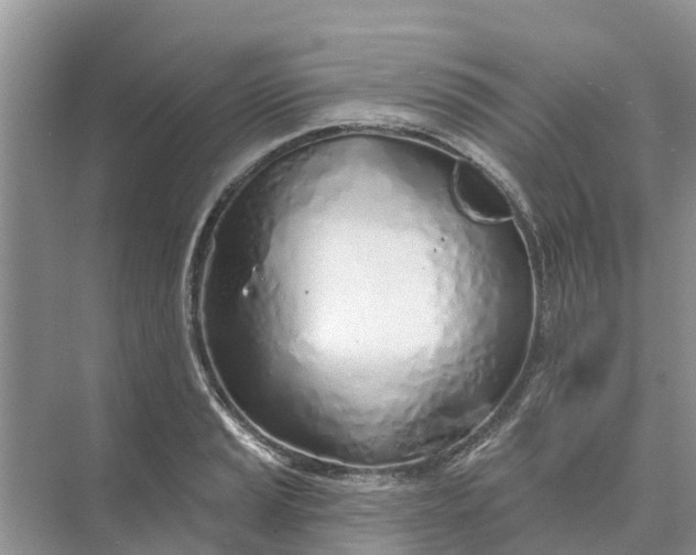 X0000074961037200609152051