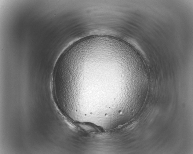 X0000074961040200609152051