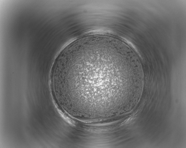 X0000074961042200609152051