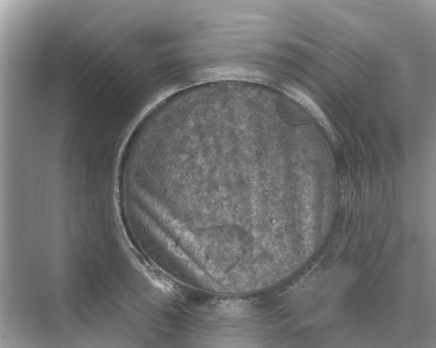 X0000074961043200609152051