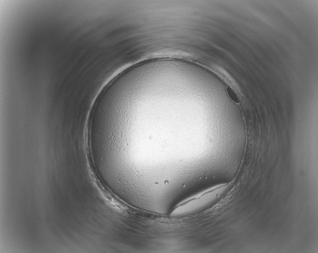 X0000074961044200609152051