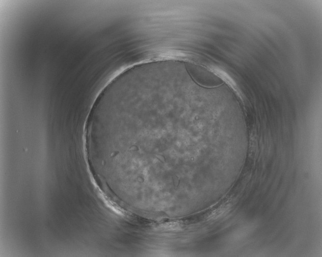 X0000074961047200609152051