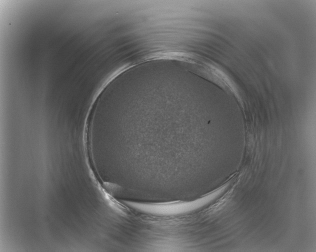 X0000074961050200609152051