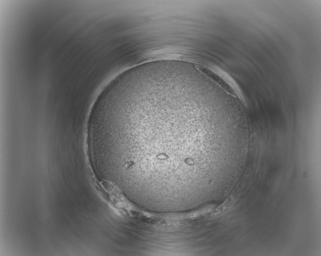 X0000074961051200609152051