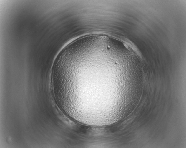 X0000074961052200609152051