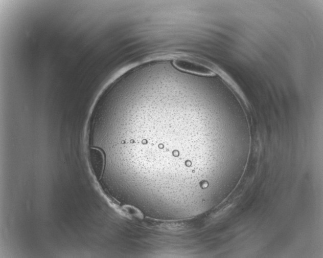 X0000074961053200609152051