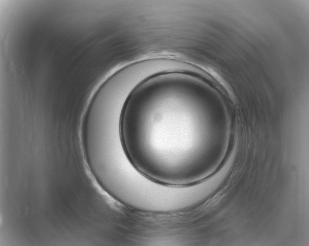 X0000074961054200609152051