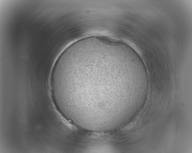 X0000074961056200609152051