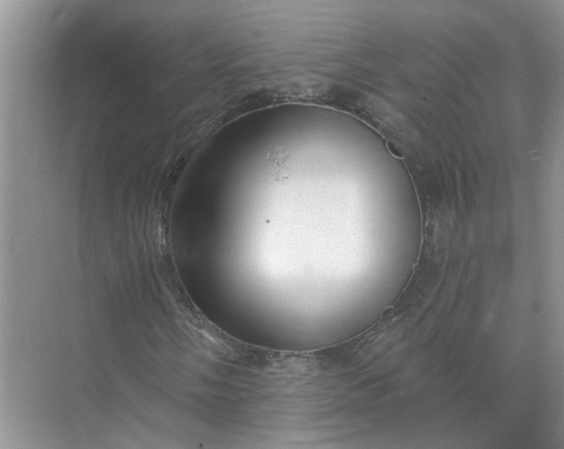 X0000074961058200609152051