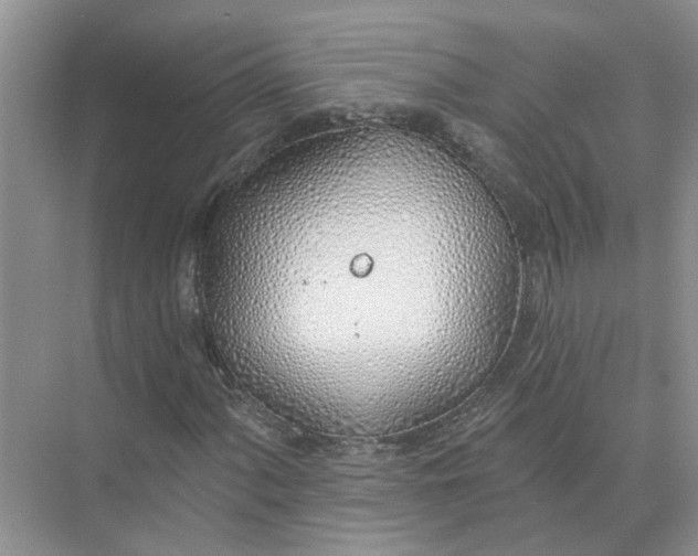 X0000074961060200609152051