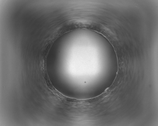 X0000074961061200609152051