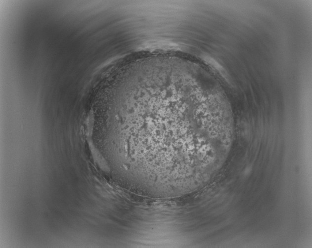 X0000074961063200609152051