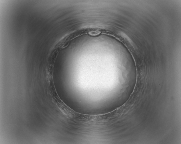 X0000074961064200609152051