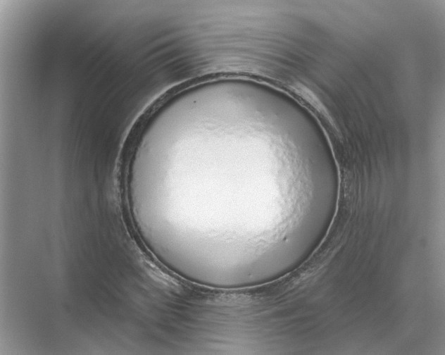 X0000074961068200609152050