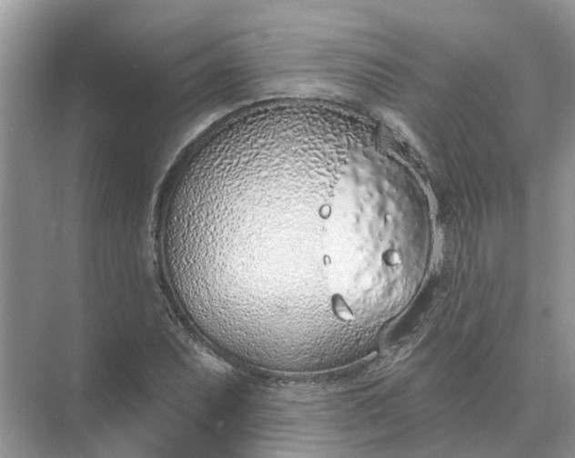 X0000074961071200609152050