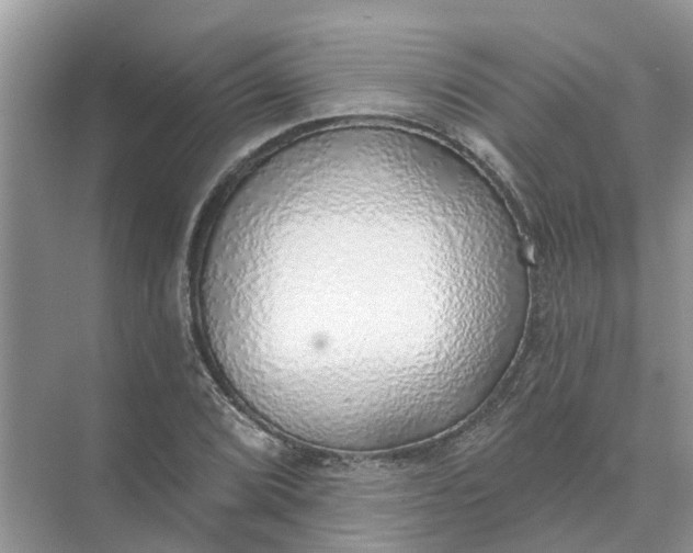 X0000074961072200609152050