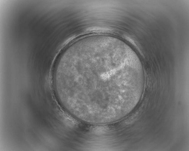 X0000074961074200609152050