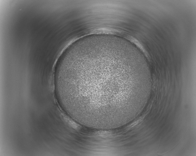 X0000074961075200609152050