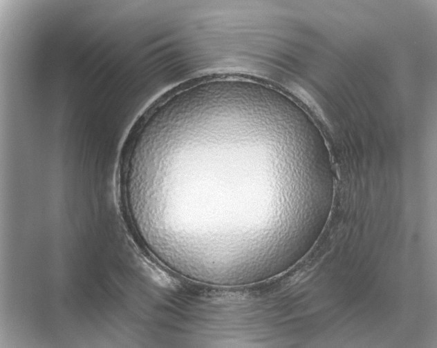 X0000074961076200609152050