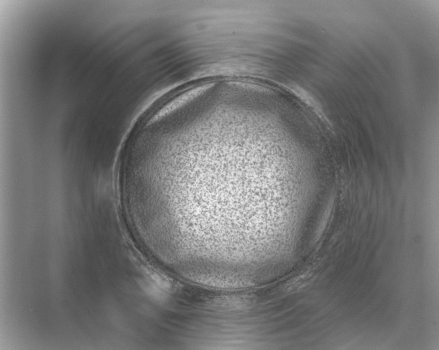 X0000074961078200609152050