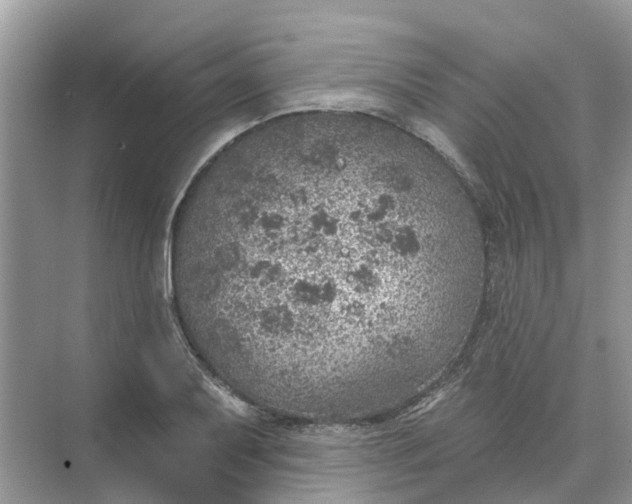 X0000074961079200609152050