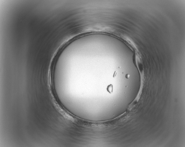 X0000074961080200609152050